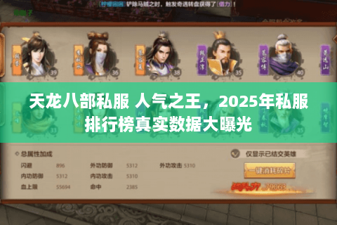 天龙八部私服 人气之王，2025年私服排行榜真实数据大曝光
