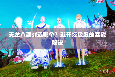 天龙八部sf选哪个?避开垃圾服的实战秘诀 天龙八部sf选哪个?避开垃圾服的实战秘诀