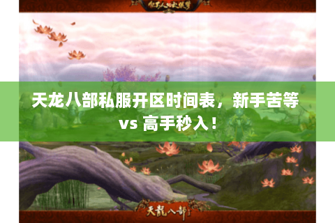 天龙八部私服开区时间表,新手苦等 vs 高手秒入! 天龙八部私服开区时间表,新手苦等 vs 高手秒入!