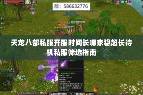 天龙八部私服开服时间长哪家稳超长待机私服筛选指南