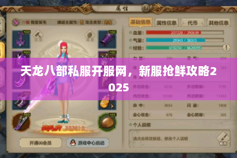 天龙八部私服开服网，新服抢鲜攻略2025