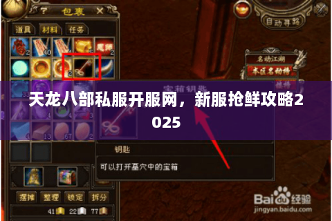 天龙八部私服开服网，新服抢鲜攻略2025
