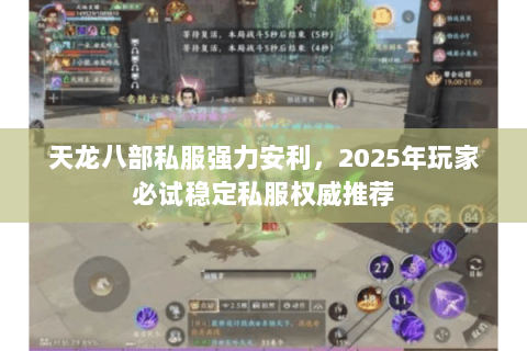 天龙八部私服强力安利,2025年玩家必试稳定私服权威推荐 天龙八部私服强力安利,2025年玩家必试稳定私服权威推荐