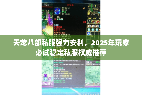 天龙八部私服强力安利,2025年玩家必试稳定私服权威推荐 天龙八部私服强力安利,2025年玩家必试稳定私服权威推荐