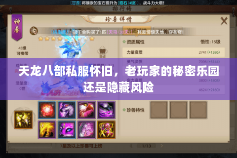 天龙八部私服怀旧,老玩家的秘密乐园还是隐藏风险 天龙八部私服怀旧,老玩家的秘密乐园还是隐藏风险