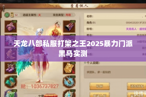 天龙八部私服打架之王2025暴力门派黑马实测