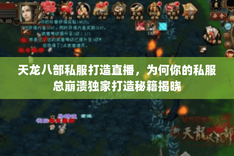 天龙八部私服打造直播,为何你的私服总崩溃独家打造秘籍揭晓 天龙八部私服打造直播,为何你的私服总崩溃独家打造秘籍揭晓
