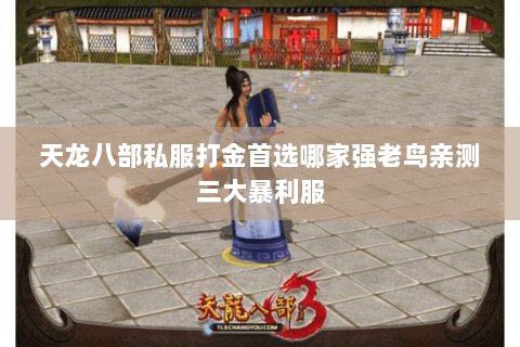 天龙八部私服打金首选哪家强老鸟亲测三大暴利服 天龙八部私服打金首选哪家强老鸟亲测三大暴利服