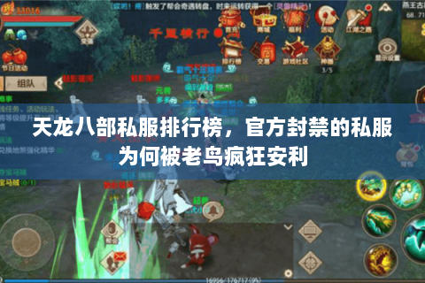 天龙八部私服排行榜，官方封禁的私服为何被老鸟疯狂安利