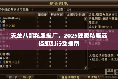 天龙八部私服推广，2025独家私服选择即刻行动指南