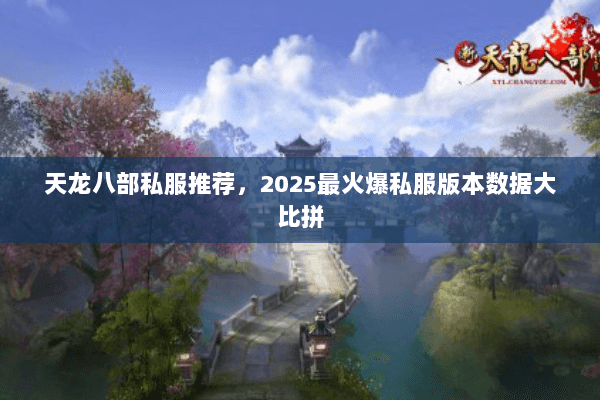天龙八部私服推荐,2025最火爆私服版本数据大比拼 天龙八部私服推荐,2025最火爆私服版本数据大比拼