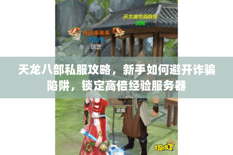 天龙八部私服攻略,新手如何避开诈骗陷阱,锁定高倍经验服务器 天龙八部私服攻略,新手如何避开诈骗陷阱,锁定高倍经验服务器