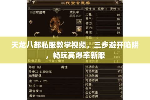 天龙八部私服教学视频,三步避开陷阱,畅玩高爆率新服 天龙八部私服教学视频,三步避开陷阱,畅玩高爆率新服