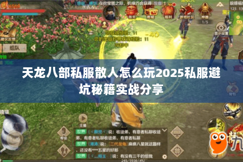 天龙八部私服散人怎么玩2025私服避坑秘籍实战分享 天龙八部私服散人怎么玩2025私服避坑秘籍实战分享