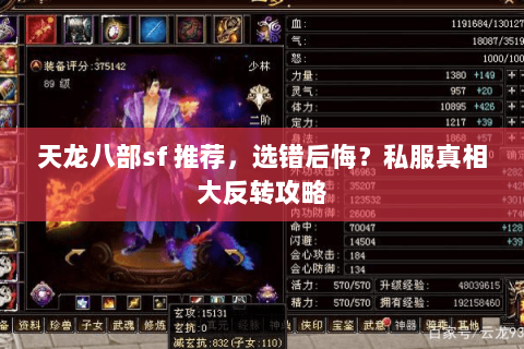 天龙八部sf 推荐,选错后悔?私服真相大反转攻略 天龙八部sf 推荐,选错后悔?私服真相大反转攻略