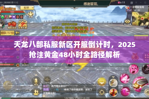 天龙八部私服新区开服倒计时,2025抢注黄金48小时全路径解析 天龙八部私服新区开服倒计时,2025抢注黄金48小时全路径解析