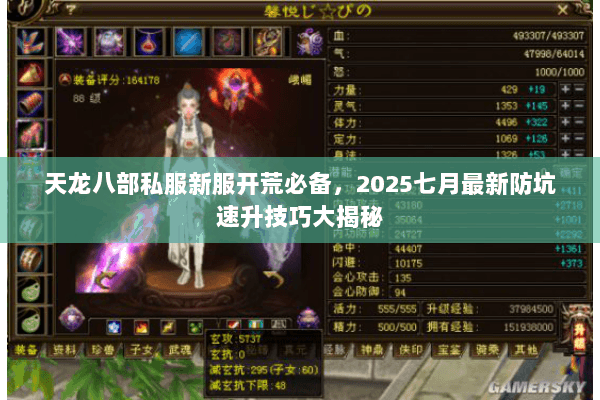 天龙八部私服新服开荒必备,2025七月最新防坑速升技巧大揭秘 天龙八部私服新服开荒必备,2025七月最新防坑速升技巧大揭秘