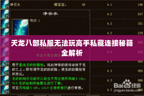 天龙八部私服无法玩高手私藏连接秘籍全解析 天龙八部私服无法玩高手私藏连接秘籍全解析