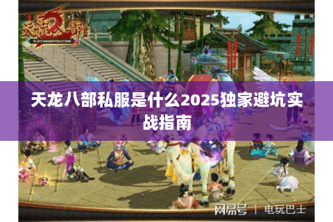 天龙八部私服是什么2025独家避坑实战指南 天龙八部私服是什么2025独家避坑实战指南