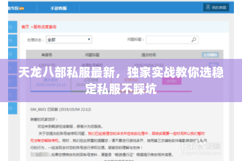 天龙八部私服最新,独家实战教你选稳定私服不踩坑 天龙八部私服最新,独家实战教你选稳定私服不踩坑