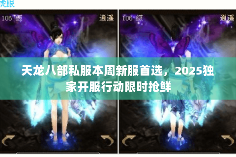 天龙八部私服本周新服首选，2025独家开服行动限时抢鲜