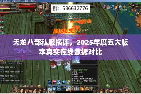 天龙八部私服横评,2025年度五大版本真实在线数据对比 天龙八部私服横评,2025年度五大版本真实在线数据对比