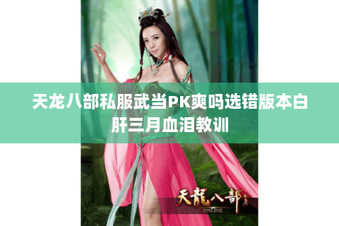 天龙八部私服武当PK爽吗选错版本白肝三月血泪教训