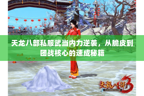 天龙八部私服武当内力逆袭，从脆皮到团战核心的速成秘籍