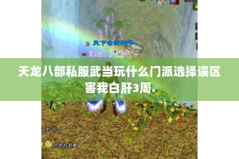 天龙八部私服武当玩什么门派选择误区害我白肝3周. 天龙八部私服武当玩什么门派选择误区害我白肝3周.