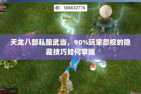 天龙八部私服武当,90%玩家忽视的隐藏技巧如何掌握 天龙八部私服武当,90%玩家忽视的隐藏技巧如何掌握