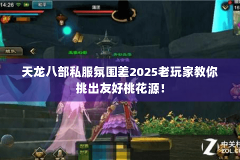 天龙八部私服氛围差2025老玩家教你挑出友好桃花源! 天龙八部私服氛围差2025老玩家教你挑出友好桃花源!