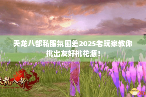 天龙八部私服氛围差2025老玩家教你挑出友好桃花源! 天龙八部私服氛围差2025老玩家教你挑出友好桃花源!