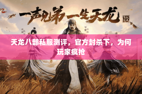 天龙八部私服测评,官方封杀下,为何玩家疯抢 天龙八部私服测评,官方封杀下,为何玩家疯抢