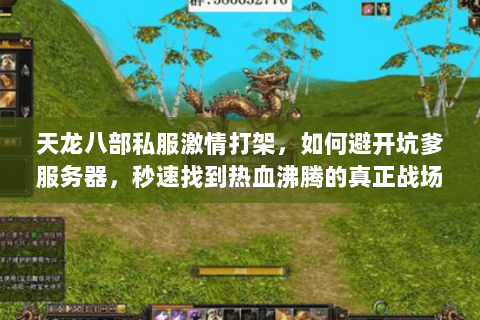 天龙八部私服激情打架,如何避开坑爹服务器,秒速找到热血沸腾的真正战场 天龙八部私服激情打架,如何避开坑爹服务器,秒速找到热血沸腾的真正战场