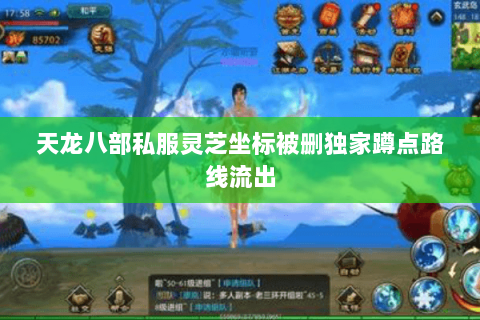 天龙八部私服灵芝坐标被删独家蹲点路线流出 天龙八部私服灵芝坐标被删独家蹲点路线流出