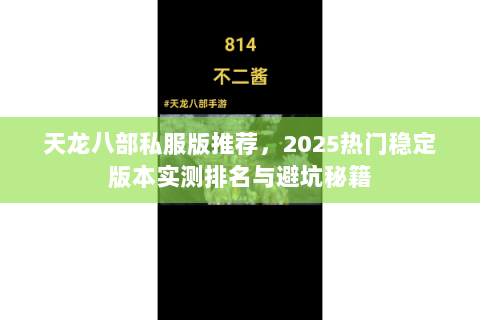 天龙八部私服版推荐，2025热门稳定版本实测排名与避坑秘籍