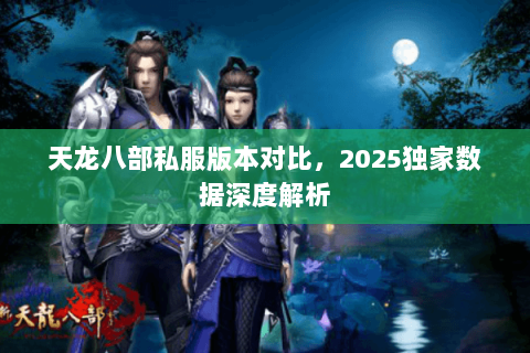 天龙八部私服版本对比,2025独家数据深度解析 天龙八部私服版本对比,2025独家数据深度解析