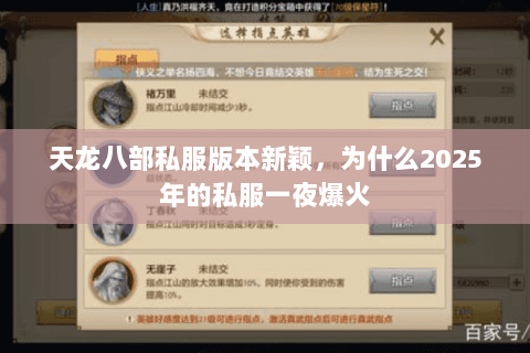 天龙八部私服版本新颖,为什么2025年的私服一夜爆火 天龙八部私服版本新颖,为什么2025年的私服一夜爆火