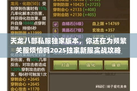 天龙八部私服独家版本，你还在为频繁关服烦恼吗2025独家新服实战攻略