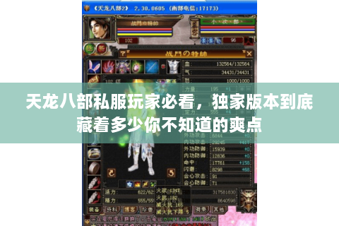 天龙八部私服玩家必看,独家版本到底藏着多少你不知道的爽点 天龙八部私服玩家必看,独家版本到底藏着多少你不知道的爽点