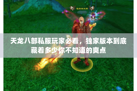 天龙八部私服玩家必看,独家版本到底藏着多少你不知道的爽点 天龙八部私服玩家必看,独家版本到底藏着多少你不知道的爽点