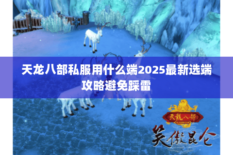 天龙八部私服用什么端2025最新选端攻略避免踩雷 天龙八部私服用什么端2025最新选端攻略避免踩雷