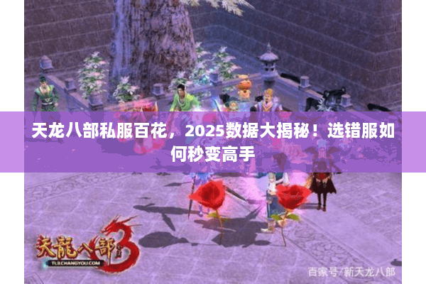 天龙八部私服百花,2025数据大揭秘!选错服如何秒变高手 天龙八部私服百花,2025数据大揭秘!选错服如何秒变高手
