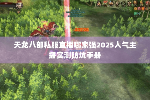 天龙八部私服直播哪家强2025人气主播实测防坑手册 天龙八部私服直播哪家强2025人气主播实测防坑手册