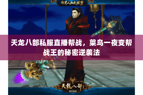 天龙八部私服直播帮战，菜鸟一夜变帮战王的秘密逆袭法