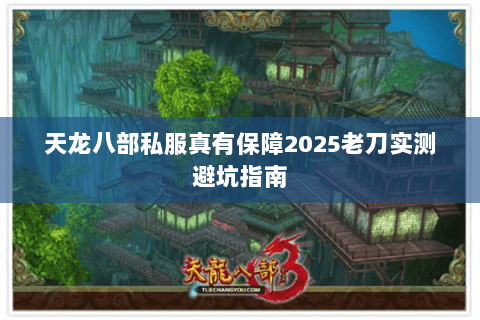天龙八部私服真有保障2025老刀实测避坑指南