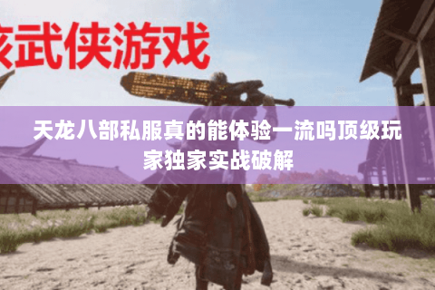 天龙八部私服真的能体验一流吗顶级玩家独家实战破解