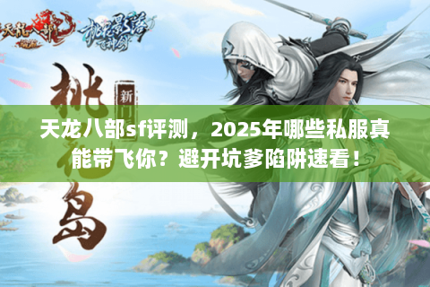 天龙八部sf评测，2025年哪些私服真能带飞你？避开坑爹陷阱速看！