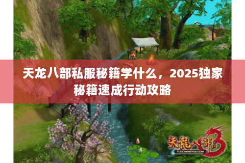 天龙八部私服秘籍学什么，2025独家秘籍速成行动攻略