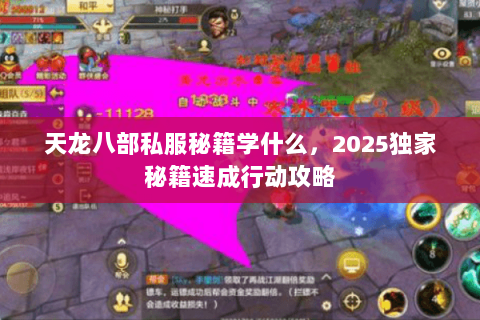 天龙八部私服秘籍学什么，2025独家秘籍速成行动攻略